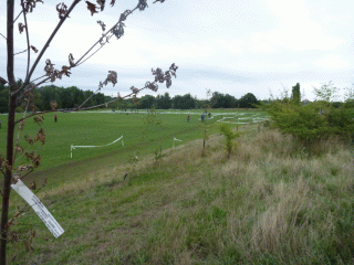 View over the Springfield Cross course