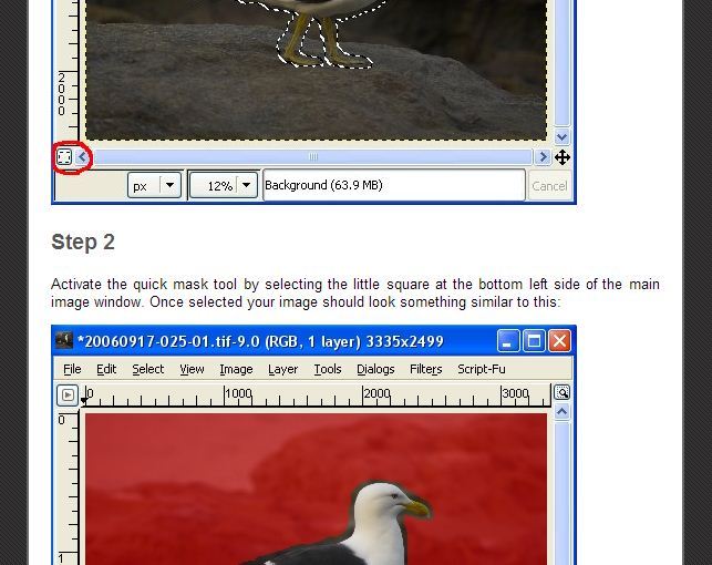 GIMP Removing Background From Photo ·  Programming ·
