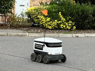 Milton Keynes delivery bot