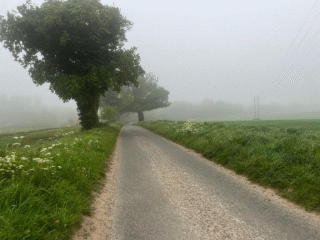 Rebellion Way Norfolk mist
