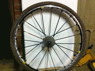 Ksyrium rear wheel ready for cyclocross