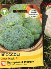seeds: brocolli