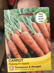 seeds: carrot