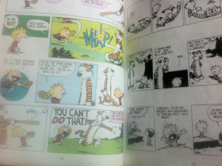 Calvin and Hobbes comic book