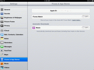 iPad settings screen