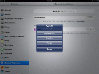 iPad settings: Apple ID dialog