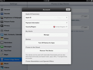 iPad settings: account screen