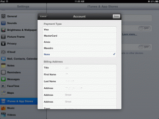 iPad settings: payment information