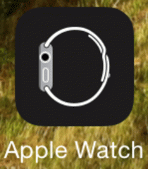 Apple Watch on iOS: lame icon?